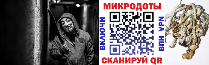 Галлюциногенные грибы мухоморы  дарк нет какой сайт  Кизел 